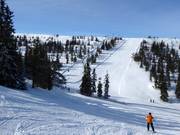 Blick auf die Piste Källbacken in Hundfället