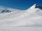 Breite Pisten am Gotschnagrat