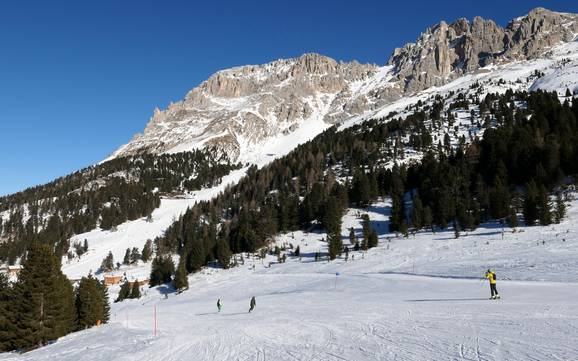 Skifahren bei Tesero