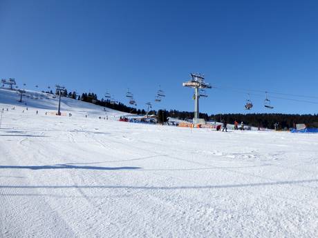 Polen: Testberichte von Skigebieten – Testbericht Zieleniec