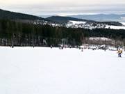 Leichte Piste an den Forsthausliften