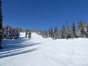 Leichte Piste Over the Hill