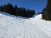 blaue Piste vom Sonnenhang zum Luttensee