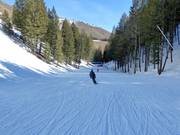 Leichte Piste Lower Broadway