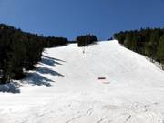 Pisten am Pla de la Cot