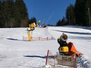 Umfassende Beschneiung