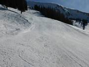 Mittelschwere Abfahrt zwischen Planplatten und Gummenalp