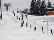 Grand bois - Tellerlift