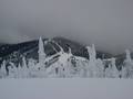 Bilder Schweitzer Mountain Resort