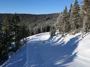 Leichte Piste Lázeňská