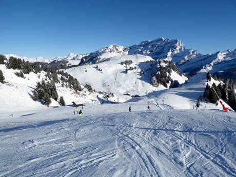 Pistenangebot Genferseegebiet – Pistenangebot Villars/Gryon/Les Diablerets