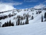 Blick auf die Pisten am Blackfoot Lift