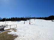 Luttenseelift - Schlepplift mit T-Bügel/Anker