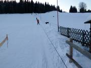 Skilift Rölzhang - Seillift/Babylift mit niederer Seilführung