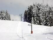 Tour du pin - Tellerlift