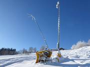 Schneilanze am Kißlingerlift
