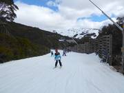 Leichte Piste Wombats Ramble