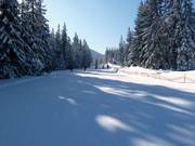 Leichte Familienstrecke an der Sonnenhang-Sesselbahn