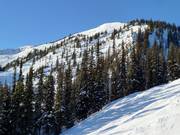 Blick auf en Eagle East Bereich mit schweren Double Diamond Abfahrten