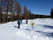 Loipe auf der Hochrindl