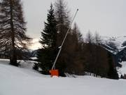 Schneilanze an der Talabfahrt