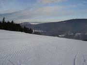 Abfahrten am Kreuzhang