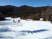 Tipp für die Kleinen  - Friday Flat