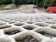 Stets perfekte Zustände