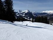 Mike von Grünigen Run