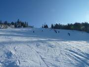 Skihang am Mehliskopf