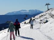 Ziehweg Falzeben I von Oswald zum Piffing