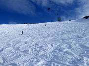 Skiroute 1 Golden Powder