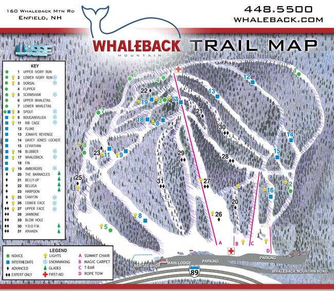 Whaleback