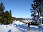 Piste Nr. 43 M3 Lewa