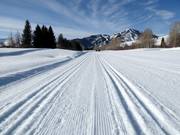 Loipen im Sun Valley Nordic Center