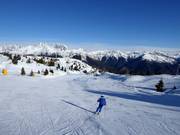 Piste Arvenis