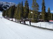 Förderband für die ersten Versuche