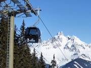 Papagenobahn mit Bischofsmütze