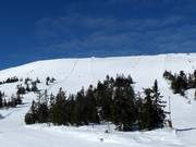 Blick auf die Pisten Nr. 1 und Nr. 5 am Skihytta Ekspress