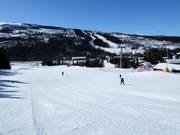 Leichte Piste Nybegynnerbakken