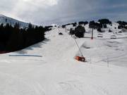 Abfahrt Coq Bruyère