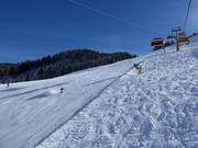 Schwarze Piste nach Hinterthal