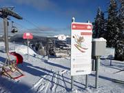 Photopoint an der Bergstation Panoramabahn