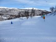 Leichte Piste im Skigebiet Tänndalen