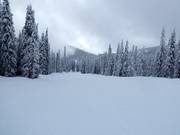 Ganz leichte Piste im Red Mountain Resort