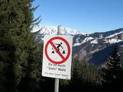 Es ist auch "Dein" Wald