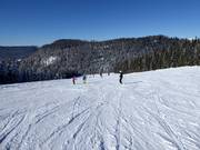 Für Anfänger: Flache und breite Zigeuner-Abfahrt (Winklmoosalm)