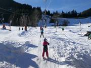 Steckenberglift III (B) - Tellerlift