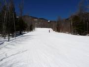 Breite Waldschneisenabfahrt