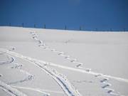 So um die 20 Schwünge kommen zusammen